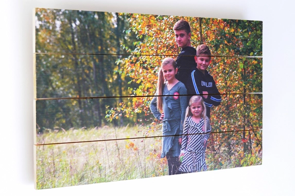 Family photo on spruce wood in nature, a beautiful combination.