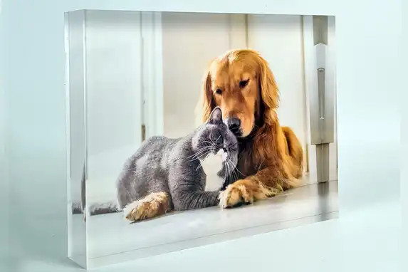 Thousands of pets, including many dogs and cats, have now been immortalized in an aryl block by our photo lab.