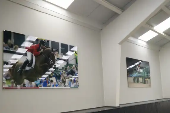 Photos on plexiglass made for Tal Milstein Stables in Asse (Belgium)