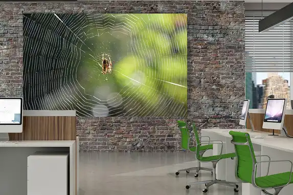 Glued photo on dibond retains maximum sharpness even in large format.