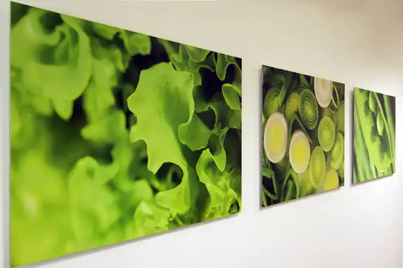 Photo on aluminum with high-end finish.