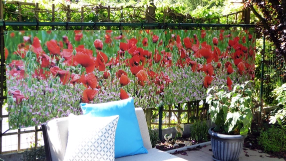Garden poster with poppies.